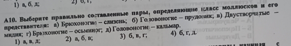 1) a, 6, π; 2, 6, 1,
A10. Выбернгеπравнльно соетавленные πары, определяюошне κласс моллюосковн его
лредставнтеля: а) Брюохоногие - слизень; б)Го ровоногне - прудоник; в) Двустворчатые -
мндняη гηБргохоногие- осьминогηд) Γоловоногие - кальмар.
1) a, в, π; 2) a, 6, в; 3) 6, в, г; 4) 6, r, д.
c