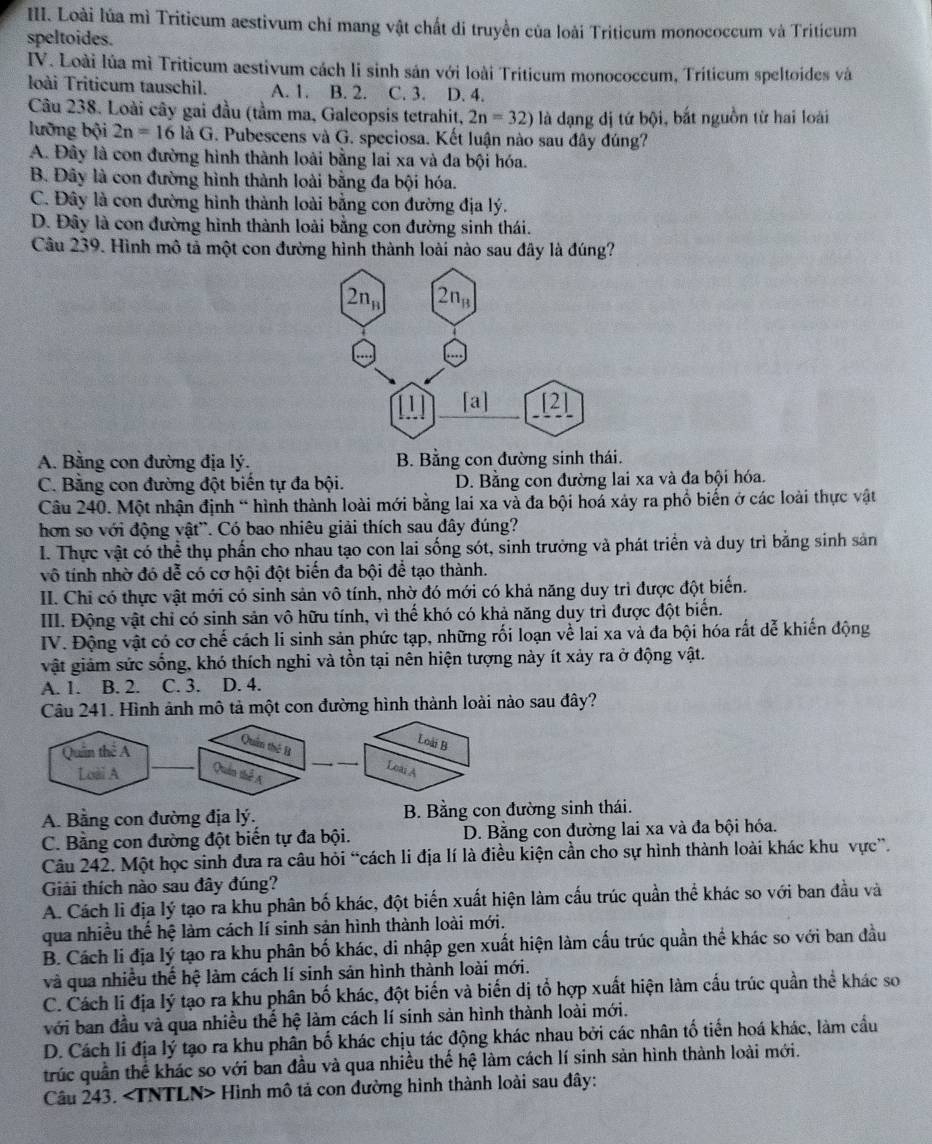 Loài lúa mì Triticum aestivum chí mang vật chất di truyền của loài Triticum monococcum và Triticum
speltoides.
IV. Loài lủa mì Triticum aestivum cách li sinh sản với loài Triticum monococcum, Tríticum speltoides và
loài Triticum tauschil. A. 1. B. 2. C. 3. D. 4.
Câu 238. Loài cây gai đầu (tầm ma, Galeopsis tetrahit, 2n=32) là dạng dị tứ bội, bắt nguồn từ hai loài
lưỡng bội 2n=16 là G. Pubescens và G. speciosa. Kết luận nào sau đây đúng?
A. Đây là con đường hình thành loài bằng lai xa và đa bội hóa.
B. Đây là con đường hình thành loài bằng đa bội hóa.
C. Đây là con đường hình thành loài bằng con đường địa lý.
D. Đây là con đường hình thành loài bằng con đường sinh thái.
Câu 239. Hình mô tả một con đường hình thành loài nào sau đây là đúng?
A. Bằng con đường địa lý. B. Bằng con đường sinh thái.
C. Bằng con đường đột biến tự đa bội. D. Bằng con đường lai xa và đa bội hóa.
Câu 240. Một nhận định “ hình thành loài mới bằng lai xa và đa bội hoá xảy ra phổ biến ở các loài thực vật
hơn so với động vật'. Có bao nhiêu giải thích sau đây đúng?
I. Thực vật có thể thụ phần cho nhau tạo con lai sống sót, sinh trường và phát triển và duy trì bằng sinh sản
vô tính nhờ đó dễ có cơ hội đột biến đa bội để tạo thành.
II. Chi có thực vật mới có sinh sản vô tính, nhờ đó mới có khả năng duy trì được đột biển.
III. Động vật chỉ có sinh sản vô hữu tính, vì thế khó có khả năng duy trì được đột biển.
IV. Động vật có cơ chế cách li sinh sản phức tạp, những rối loạn về lai xa và đa bội hóa rất dễ khiến động
vật giảm sức sống, khó thích nghi và tồn tại nên hiện tượng này ít xảy ra ở động vật.
A. 1. B. 2. C. 3. D. 4.
Câu 241. Hình ảnh mô tả một con đường hình thành loài nào sau đây?
Quân thê A
Loài B
thế B __LoaiA
Loài A _Quân thể A
A. Bằng con đường địa lý. B. Bằng con đường sinh thái.
C. Bằng con đường đột biến tự đa bội. D. Bằng con đường lai xa và đa bội hóa.
Câu 242. Một học sinh đưa ra câu hỏi “cách li địa lí là điều kiện cần cho sự hình thành loài khác khu vực”.
Giải thích nào sau đây đúng?
A. Cách li địa lý tạo ra khu phân bố khác, đột biến xuất hiện làm cấu trúc quần thể khác so với ban đầu và
qua nhiều thế hệ làm cách lí sinh sản hình thành loài mới.
B. Cách li địa lý tạo ra khu phân bố khác, di nhập gen xuất hiện làm cấu trúc quần thể khác so với ban đầu
và qua nhiều thế hệ làm cách lí sinh sản hình thành loài mới.
C. Cách li địa lý tạo ra khu phân bố khác, đột biến và biến dị tổ hợp xuất hiện làm cấu trúc quần thể khác so
với ban đầu và qua nhiều thế hệ làm cách lí sinh sản hình thành loài mới.
D. Cách li địa lý tạo ra khu phân bố khác chịu tác động khác nhau bởi các nhân tố tiến hoá khác, làm cầu
trúc quần thể khác so với ban đầu và qua nhiều thế hệ làm cách lí sinh sản hình thành loài mới.
Câu 243. Hình mô tả con đường hình thành loài sau đây: