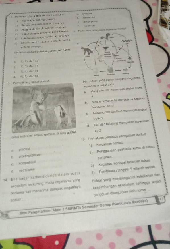 Perhalikan hobungan embeste benkyt w        pro ln  
1 ) Ikan hiu dengan ikan vemor  
2) Benalu dengan tumbuhan iangnya c dekompose
3) Anggrek dengan tumbuhan inangmya σ