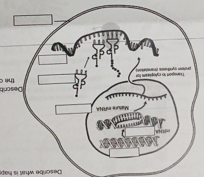 ə1 
quɔsea 
deų sị ¡eym əquɔsəσ