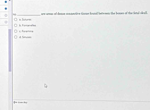 14-_ are areas of dense connective tissue found between the bones of the fetal skull.
a. Sutures
b. Fontanelles
c. Foramina
d. Sinuses
Qw Ican Key