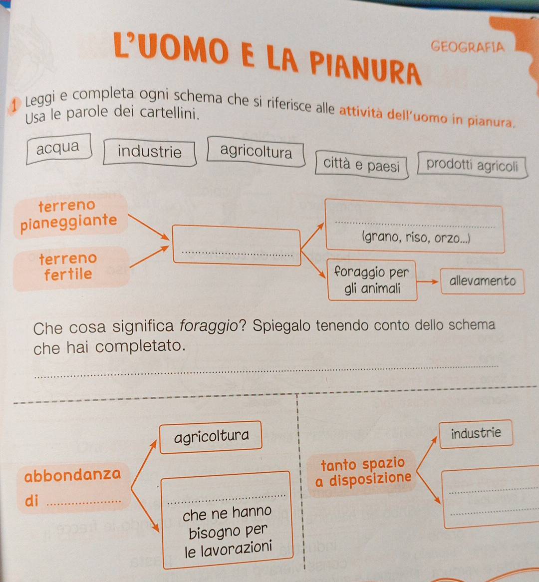 GEOGRAFIA
L'UOMO E LA PIANURA
1 Leggi e completa ogni schema che si riferisce alle attività delluomo in pianura.
Usa le parole dei cartellini.
acqua industrie agricoltura prodotti agricoli
città e paesi
terreno
pianeggiante
_
(grano, riso, orzo...)
terreno
_
fertile foraggio per allevamento
gli animali
Che cosa significa foraggio? Spiegalo tenendo conto dello schema
che hai completato.
_
_
_
agricoltura
industrie
abbondanza tanto spazio
_
di __a disposizione_
che ne hanno
_
bisogno per
le lavorazioni