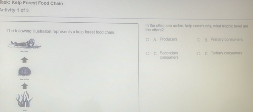 Jask: Kelp Forest Food Chain
Activity 1 of 3
In the otter, sea urchin, kelp community, what trophic level are
The following illustration represents a kelp forest food chain. the otters?
A Producers B Primary consumers
Sew Otter D. Tertiary consumers
C. Secondary
consumers
Sia Urchas