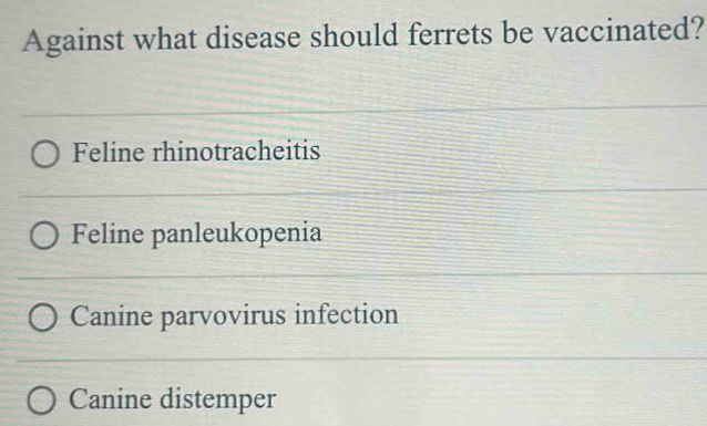 Against what disease should ferrets be vaccinated?
Feline rhinotracheitis
Feline panleukopenia
Canine parvovirus infection
Canine distemper