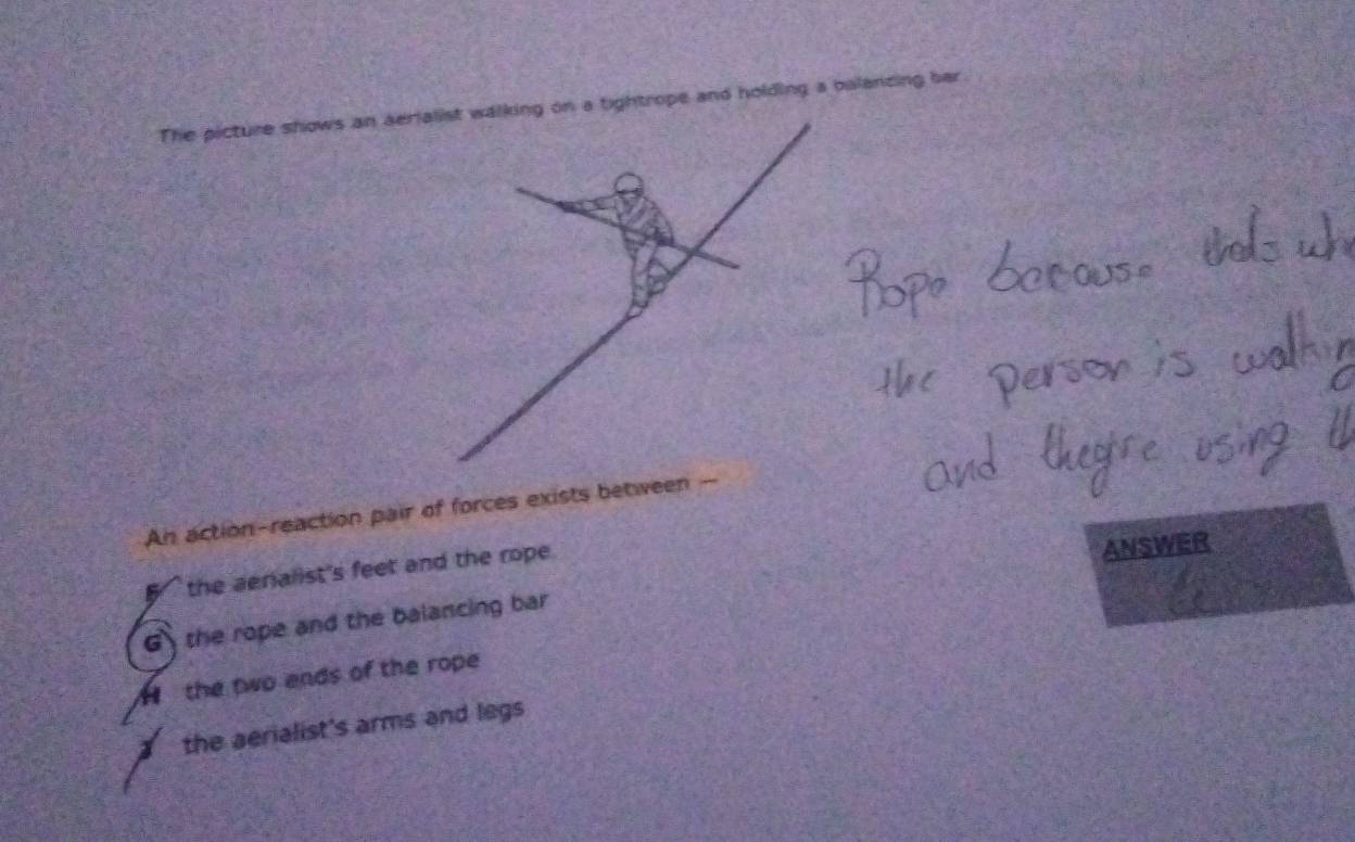 The picture shows an aeon a tightrope and holding a balancing bar
An action-reaction pair of forces exists between -
the aenalist's feet and the rope.
ANSWER
G the rope and the balancing bar
the two ends of the rope
I the aerialist's arms and legs