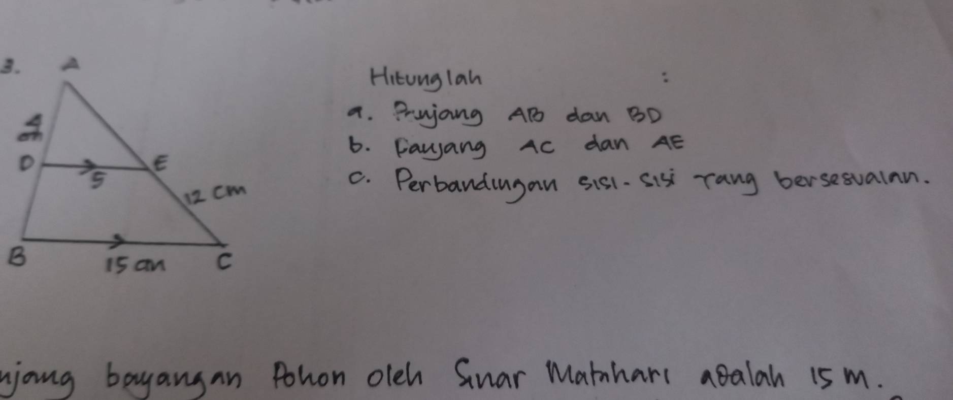 Hitonglah 
a. Prujang AB dan BD
6. Fayang AC dan AE
C. Perbandingan sis- Sis rang bersesualan. 
yong bayangan Pohon olch Suar Marnhars abalah 15 m.