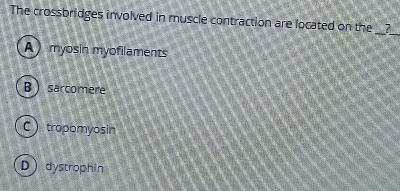 The crossbridges involved in muscle contraction are located on the 1
__
A  myosin myofilaments
B  sarcomere
C  tropomyosin
Ddystrophin