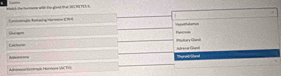 6 3 poina
Match the hormone with the gland that SECRETES it.
Corticotropin Releasing Hormone (CRH) t
Hypothalamus
Ganges
Pancreas
Pitultary Gland
Calcitonin
Adrenal Gland
Aldesterone
Thyroid Gland
Adrenocarticotrapic Hormane (ACTH)