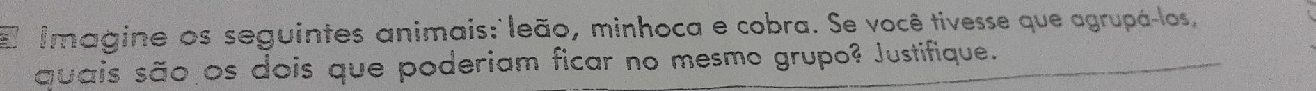 Imagine os seguintes animais: leão, minhoca e cobra. Se você tivesse que agrupá-los, 
quais são os dois que poderiam ficar no mesmo grupo? Justifique.