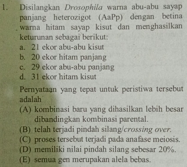 Disilangkan Drosophila warna abu-abu sayap
panjang heterozigot (AaPp) dengan betina
warna hitam sayap kisut dan menghasilkan
keturunan sebagai berikut:
a. 21 ekor abu-abu kisut
b. 20 ekor hitam panjang
c. 29 ekor abu-abu panjang
d. 31 ekor hitam kisut
Pernyataan yang tepat untuk peristiwa tersebut
adalah
(A) kombinasi baru yang dihasilkan lebih besar
dibandingkan kombinasi parental.
(B) telah terjadi pindah silang/crossing over.
(C) proses tersebut terjadi pada anafase meiosis.
(D) memiliki nilai pindah silang sebesar 20%.
(E) semua gen merupakan alela bebas.