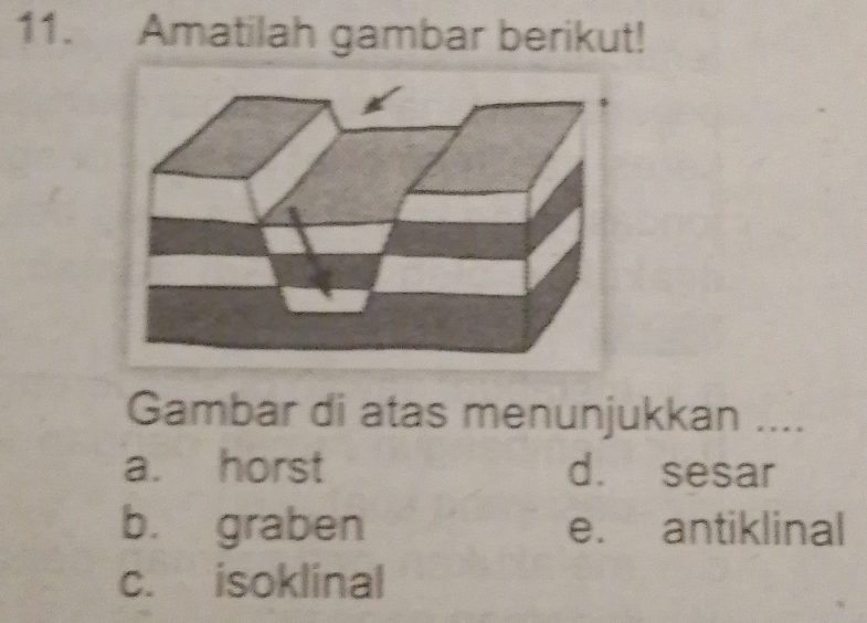 Amatilah gambar berikut!
Gambar di atas menunjukkan ....
a. horst d. sesar
b. graben e. antiklinal
c. isoklinal