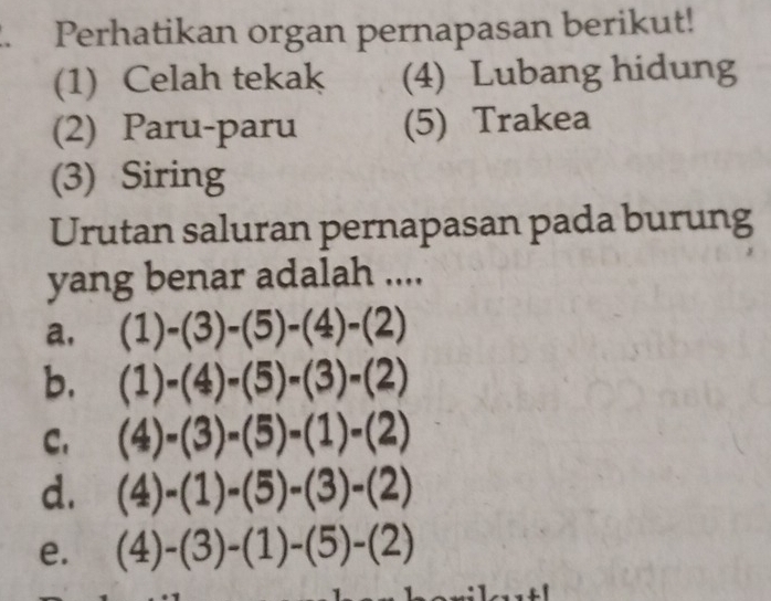 Perhatikan organ pernapasan berikut!
(1) Celah tekak (4) Lubang hidung
(2) Paru-paru (5) Trakea
(3) Siring
Urutan saluran pernapasan pada burung
yang benar adalah ....
a. (1)-(3)-(5)-(4)-(2)
b. (1)-(4)-(5)-(3)-(2)
C. (4)-(3)-(5)-(1)-(2)
d. (4)-(1)-(5)-(3)-(2)
e. (4)-(3)-(1)-(5)-(2)