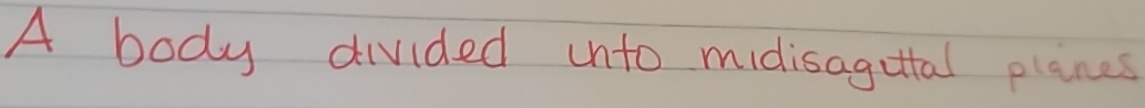 A body divided into midisaguttal planes