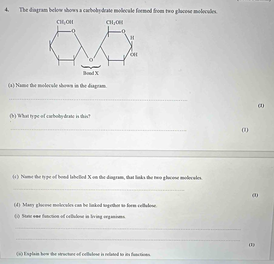 The diagram below shows a carbohydrate molecule formed from two glucose molecules.
CH_2OH
CH_2OH
H
OH
o
Bond X
(a) Name the molecule shown in the diagram. 
_ 
(1) 
(b) What type of carbohydrate is this? 
_ 
(1) 
(c) Name the type of bond labelled X on the diagram, that links the two glucose molecules. 
_ 
(1) 
(d) Many glucose molecules can be linked together to form cellulose. 
(i) State one function of cellulose in living organisms. 
_ 
_ 
(1) 
(ii) Explain how the structure of cellulose is related to its functions.