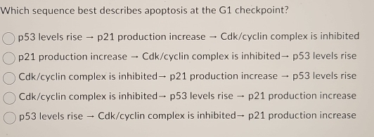 Which sequence best describes apoptosis at the G1 checkpoint?
p53 levels rise → p21 production increase → Cdk/cyclin complex is inhibited
p21 production increase → Cdk/cyclin complex is inhibited→ p53 levels rise
Cdk/cyclin complex is inhibited→ p21 production increase → p53 levels rise
Cdk/cyclin complex is inhibited→ p53 levels rise → p21 production increase
p53 levels rise → Cdk/cyclin complex is inhibited→ p21 production increase