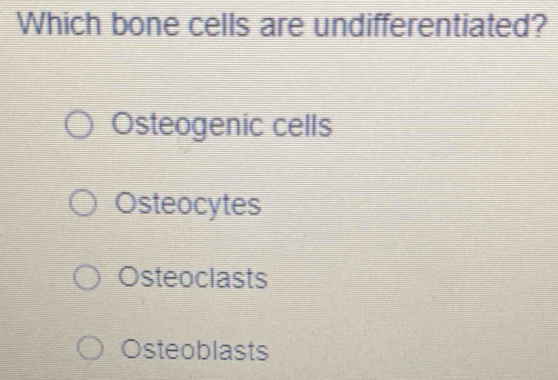 Which bone cells are undifferentiated?
Osteogenic cells
Osteocytes
Osteoclasts
Osteoblasts