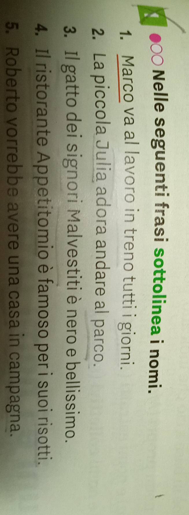 Nelle seguenti frasi sottolinea i nomi. 
1. Marco va al lavoro in treno tutti i giorni. 
2. La piccola Julia adora andare al parco. 
3. Il gatto dei signori Malvestitiè nero e bellissimo. 
4. Il ristorante Appetitomio è famoso per i suoi risotti. 
5. Roberto vorrebbe avere una casa in campagna.