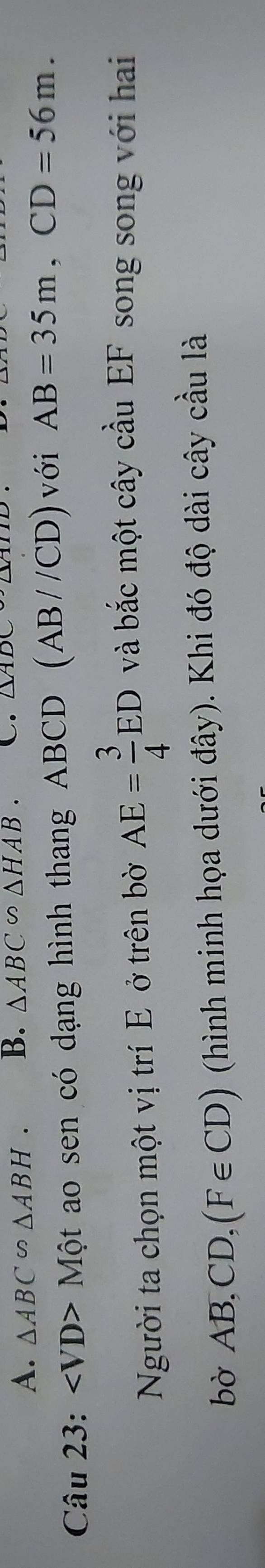 A. △ ABC∽ △ ABH. B. △ ABC∽ △ HAB. C. △ ADC∽ △ ABD
Câu 23: Mhat Qt ao sen có dạng hình thang ABCD (AB//CD) với AB=35m, CD=56m. 
Người ta chọn một vị trí E ở trên bờ AE= 3/4 ED và bắc một cây cầu EF song song với hai
bờ AB, CD, (F∈ CD) (hình minh họa dưới đây). Khi đó độ dài cây cầu là