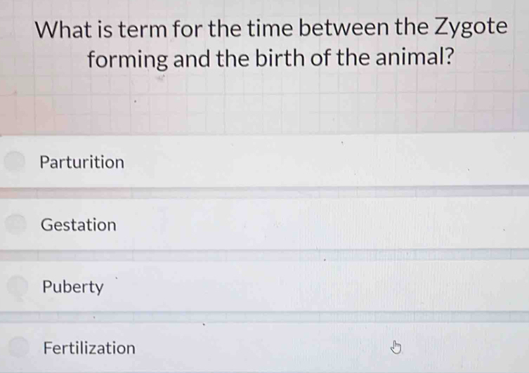 What is term for the time between the Zygote
forming and the birth of the animal?
Parturition
Gestation
Puberty
Fertilization