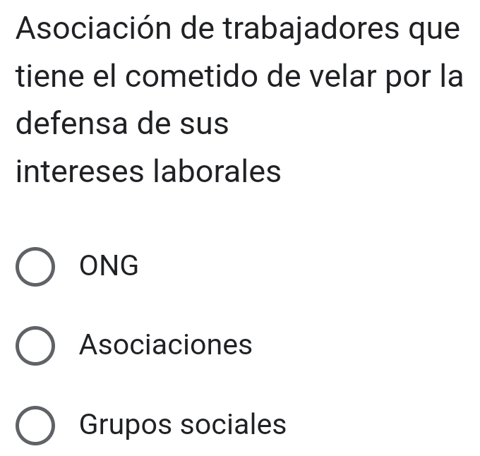 Asociación de trabajadores que
tiene el cometido de velar por la
defensa de sus
intereses laborales
ONG
Asociaciones
Grupos sociales