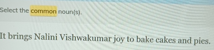 Select the common noun(s). 
It brings Nalini Vishwakumar joy to bake cakes and pies.