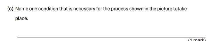 Name one condition that is necessary for the process shown in the picture totake 
place. 
(1 mark)