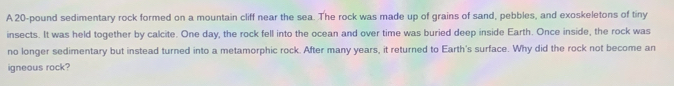 A 20-pound sedimentary rock formed on a mountain cliff near the sea. The rock was made up of grains of sand, pebbles, and exoskeletons of tiny 
insects. It was held together by calcite. One day, the rock fell into the ocean and over time was buried deep inside Earth. Once inside, the rock was 
no longer sedimentary but instead turned into a metamorphic rock. After many years, it returned to Earth's surface. Why did the rock not become an 
igneous rock?