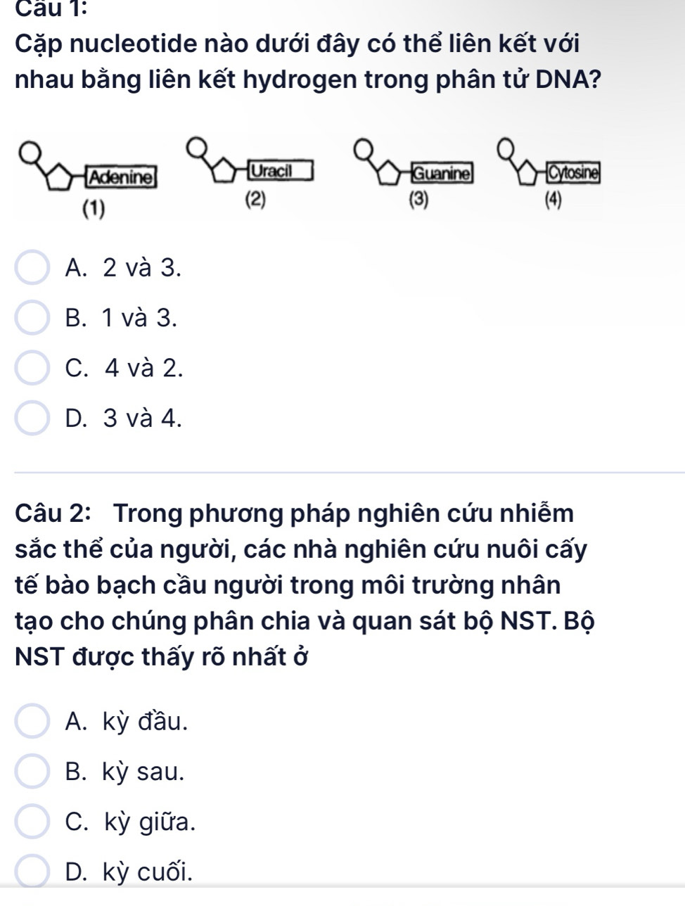 Cầu 1:
Cặp nucleotide nào dưới đây có thể liên kết với
nhau bằng liên kết hydrogen trong phân tử DNA?
Adenine Uracil Guanine Cytosine
(1) (2) (3) (4)
A. 2 và 3.
B. 1 và 3.
C. 4 và 2.
D. 3 và 4.
Câu 2: Trong phương pháp nghiên cứu nhiễm
sắc thể của người, các nhà nghiên cứu nuôi cấy
tế bào bạch cầu người trong môi trường nhân
tạo cho chúng phân chia và quan sát bộ NST. Bộ
NST được thấy rõ nhất ở
A. kỳ đầu.
B. kỳ sau.
C. kỳ giữa.
D. kỳ cuối.