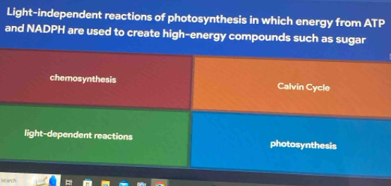 Light-independent reactions of photosynthesis in which energy from ATP
and NADPH are used to create high-energy compounds such as sugar
chemosynthesis Calvin Cycle
light-dependent reactions photosynthesis
search