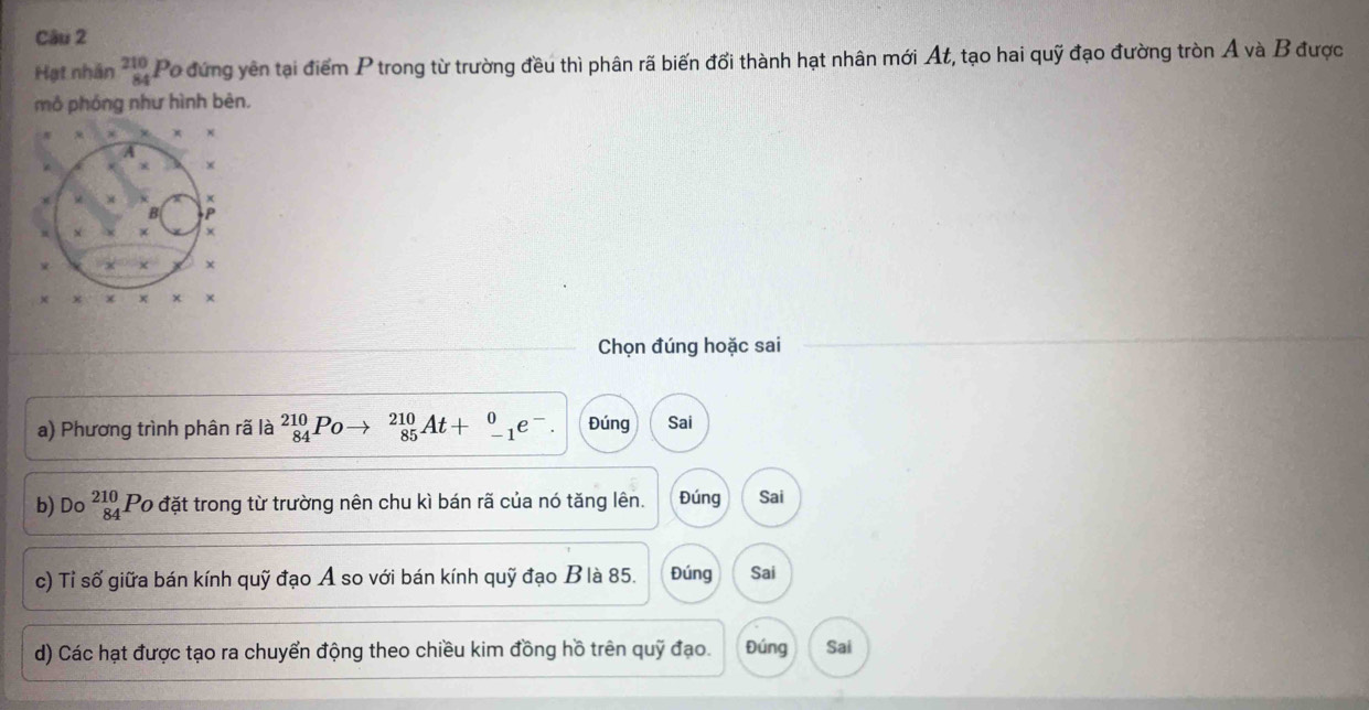 Hạt nhân beginarrayr 210 84endarray Po đứng yên tại điểm P trong từ trường đều thì phân rã biến đổi thành hạt nhân mới At, tạo hai quỹ đạo đường tròn A và B được
mô phóng như hình bèn.
Chọn đúng hoặc sai
a) Phương trình phân rã là beginarrayr 210 84endarray Po _(85)^(210)At+_(-1)^0e^-. Đúng Sai
b) Do beginarrayr 210 84endarray Po đặt trong từ trường nên chu kì bán rã của nó tăng lên. Đúng Sai
c) Tỉ số giữa bán kính quỹ đạo A so với bán kính quỹ đạo B là 85. Đúng Sai
d) Các hạt được tạo ra chuyển động theo chiều kim đồng hồ trên quỹ đạo. Đúng Sai