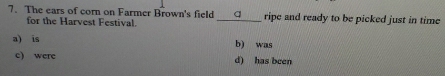The ears of corn on Farmer Brown's field _q ripe and ready to be picked just in time
for the Harvest Festival.
a) is b) was
c) were d) has been