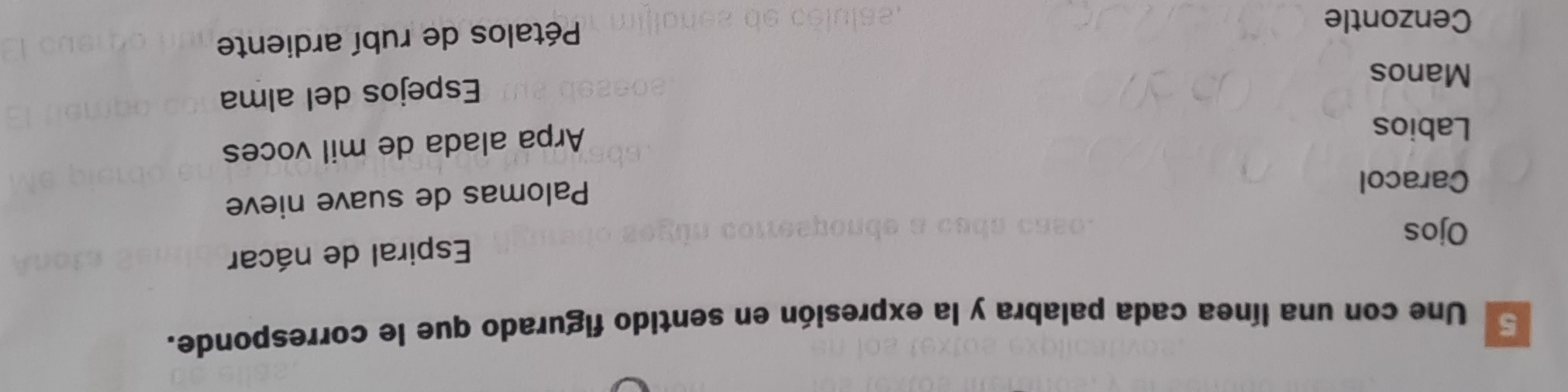 Une con una línea cada palabra y la expresión en sentido figurado que le corresponde.
Espiral de nácar
Ojos
Caracol
Palomas de suave nieve
Labios
Arpa alada de mil voces
Manos
Espejos del alma
Cenzontle
Pétalos de rubí ardiente