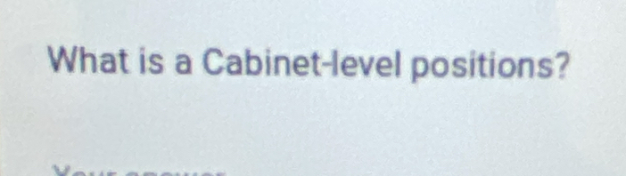 What is a Cabinet-level positions?