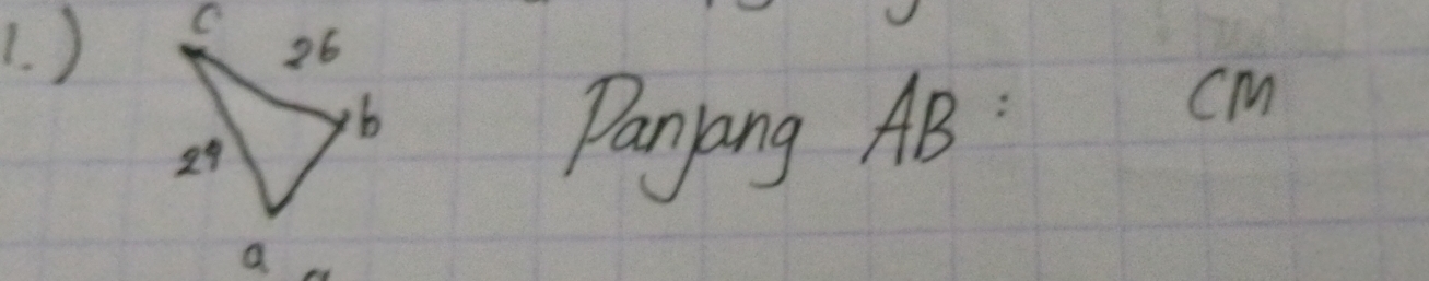 )
cm
Panyang AB