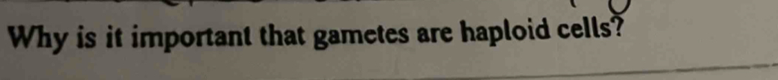 Why is it important that gametes are haploid cells?