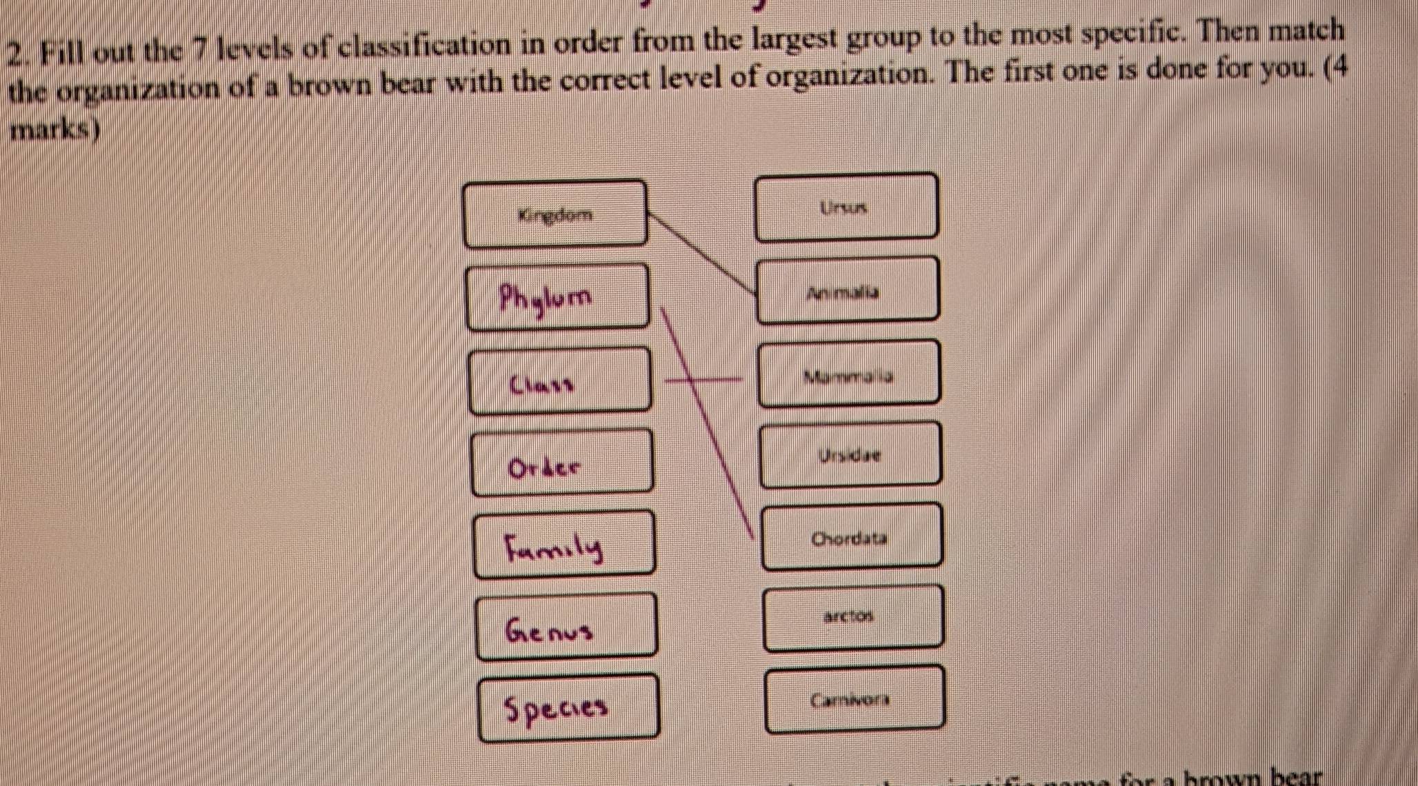 Solved: Fill out the 7 levels of classification in order from the ...