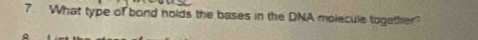 What type of bond holds the bases in the DNA molecule together?