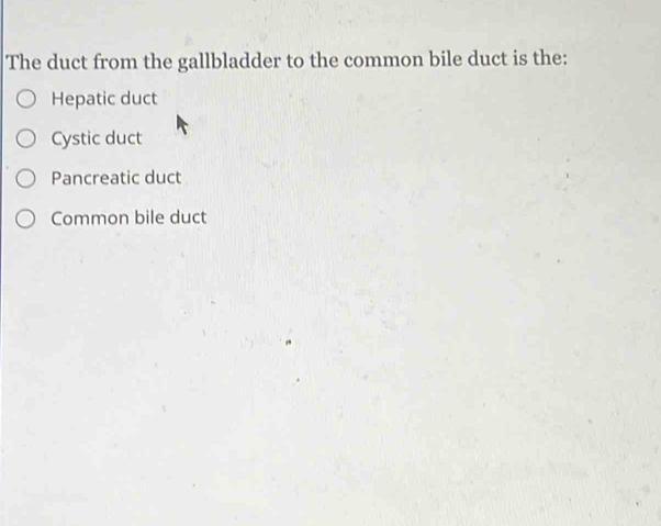 The duct from the gallbladder to the common bile duct is the:
Hepatic duct
Cystic duct
Pancreatic duct
Common bile duct