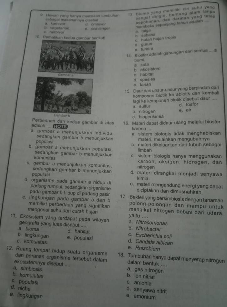 Hewan yang hanya memakan tumbuhan 13. Bioma yang memiliki ciri suhu yang
sangat dingin, bentang alam tanpa
pepohonan, dan daratan yang tetap
sebagal makanannya disebul
a. kamivor d omnivor
b. vegetarian
membeku sepanjang tahun adalah _
c. herbivor e. scavenger a. taiga
10. Perhatikan kedua gambar bertkut!
b. sabana
c. hutan hujan tropis
d. gurun
e. tundra
14. Biosfer adalah gabungan dari semua_ di
bumi.
a. kota
b. ekosistem
Gambar a c. habitat
d. spesies
e. tanah
15. Daur dari unsur-unsur yang berpindah dari
komponen biotik ke abiotik dan kembali
lagi ke komponen biotik disebut daur ....
a sulfur d、fosfor
b. nitrogen e. air
Gambar b
c. biogeokimia
Perbedaan dari kedua gambar di atas 16. Materi dapat didaur ulang melalui biosfer
adalah .... HOTS karena ....
a. gambar a menunjukkan individu. a. sistem biologis tidak menghabiskan
sedangkan gambar b menunjukkan materi, melainkan mengubahnya
populasi b. materi dikeluarkan dari tubuh sebagai
b. gambar a menunjukkan populasi, limbah
sedangkan gambar b menunjukkan c. sistem biologis hanya menggunakan
komunitas karbon, oksigen, hidrogen, dan
c. gambar a menunjukkan komunitas. nitrogen
sedangkan gambar b menunjukkan d. materi dirangkai menjadi senyawa
populasi kimia
d. organisme pada gambar a hidup di e. materi mengandung energi yang dapat
padang rumput, sedangkan organisme diciptakan dan dimusnahkan
pada gambar b hidup di padang pasir 17. Bakteri yang bersimbiosis dengan tanaman
e. lingkungan pada gambar a dan b polong-polongan dan mampu untuk
memiliki perbedaan yang signifikan mengikat nitrogen bebas dari udara,
mengenai suhu dan curah hujan yaitu ....
11. Ekosistem yang terdapat pada wilayah a. Nitrosomonas
geografis yang luas disebut .... b. Nitrobacter
a. bioma d. habitat c. Escherichia coli
b. lingkungan e. populasi d. Candida albican
c. komunitas e. Rhizobium
12. Ruang tempat hidup suatu organisme 18. Tumbuhan hanya dapat menyerap nitrogen
dan peranan organisme tersebut dalam dalam bentuk ....
ekosistemnya disebut .... a. gas nitrogen
a. simbiosis
b. ion nitrat
b. komunitas c. amonia
c. populasi d. senyawa nitrit
d. niche
e. lingkungan
e. amonium