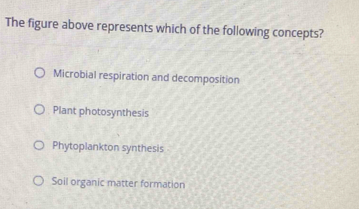 The figure above represents which of the following concepts?
Microbial respiration and decomposition
Plant photosynthesis
Phytoplankton synthesis
Soil organic matter formation