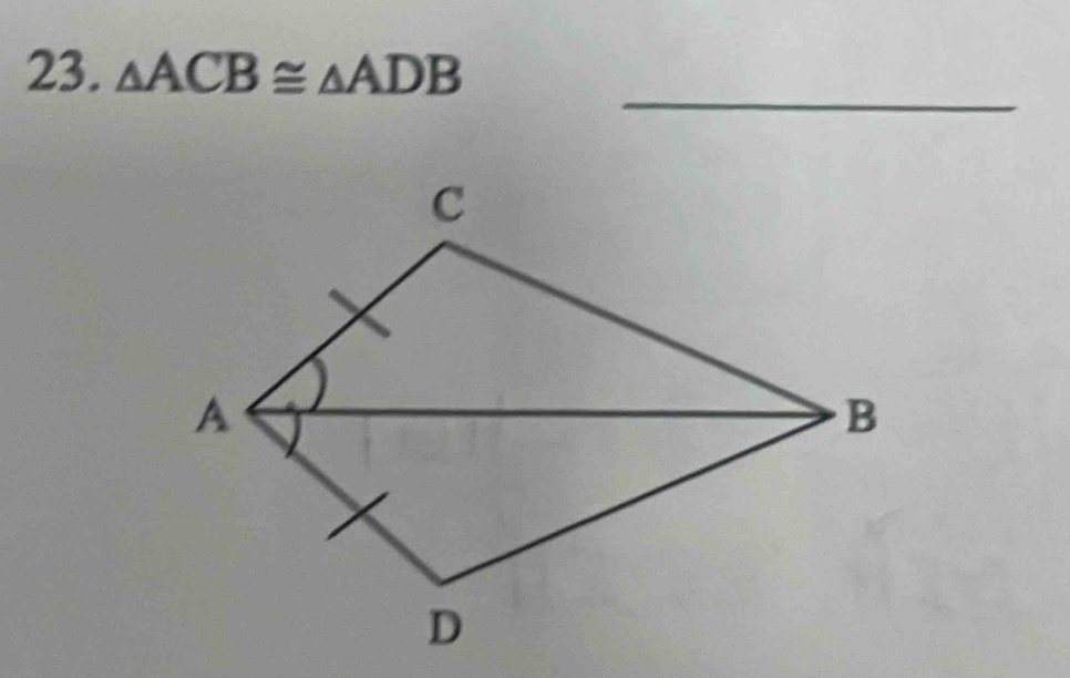 △ ACB≌ △ ADB
_