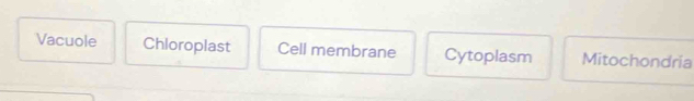 Vacuole Chloroplast Cell membrane Cytoplasm Mitochondria