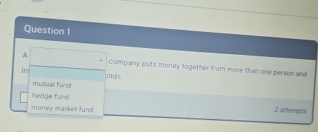 A company puts money together from more than one person and
in
)nds.
mutual fund
hedge fund
money market fund 2 attempts