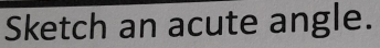 Sketch an acute angle.