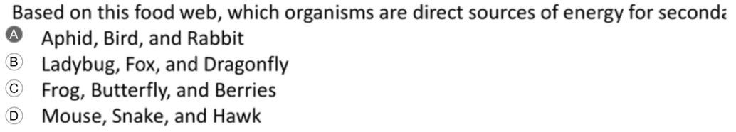 Based on this food web, which organisms are direct sources of energy for seconda
A Aphid, Bird, and Rabbit
Ⓑ Ladybug, Fox, and Dragonfly
© Frog, Butterfly, and Berries
Ⓓ Mouse, Snake, and Hawk