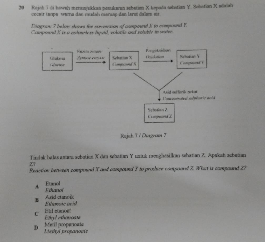 Rajah 7 di bawah menunjukkan penukaran sebatian X kepada sebatian Y. Sebatian X adalah
cecair tanpa warna dan mudah meruap dan larut dalam air.
Diagram 7 below shows the conversion of compound X to compound Y.
Compound X is a colourless liquid, volatile and soluble in water.
Enzim zimaso Pengoksidan
Glukosa Zymase enzyse Sebatian X Oxidation Sebatian Y
Glucose Compound X Compound Y
Asid sulfurik pekat
Concenrated sulphuric acid
Sebatian Z
Compound Z
Rajah 7 / Diagram 7
Tindak balas antara sebatian X dan sebatian Y untuk menghasilkan sebatian Z. Apakah sebatian
Z?
Reaction between compound X and compound Y to produce compound Z. What is compound Z?
Etanol
A Ethanol
Asid etanoik
B Ethanoic acid
C Etil etanoat
Ethyl ethanoate
Metil propanoate
D Methyl propanoate