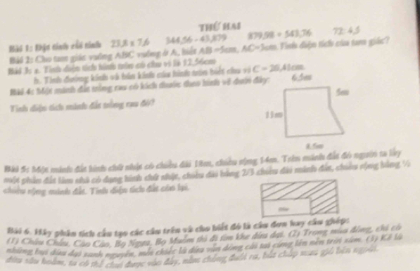 Thế hai 
Bài 1: khật tinh chi tínhu 23.8* 7.6 344.56-43, 879 879 58+543.76 72:45
Bài 2: Cho tam giác vường ABC vường ở A. AB=5cm, AC=3cm h điện tích của tam giác 
Bál Js a. Tinh đoàn tích hình tìm có chu và là 12,56cm C=26,41cm
h. Tinh đưởng kính và bản kinh của hình nún bit chu và 
Bải 4: Một minh đấa trùng rau có kích duuớc thao hình về đườn đây: 65m
Tính diện tích minh đắt tròng cau độ? 
Bài 5: Mộn minh đất hinh chứ nhật có chiều đài 18m, chiều sộng 14m. Trên minh đất đó ngườn ta lay 
một phản đất làm nhà có dụng hình chứ nhậc, choiu đài bằng 2/3 chiu đài minh đân, chiêu cộng bằng 7
chiêu nộng minh đất. Tinh điện tích đất củao lại. 
Bài 6. Hảy phần tích cầu tạo các cầu trên và cho biết đó là cầu đơn hay cầu ghép: 
(1) Châu Châu, Câo Cáo, Bọ Ngựa, Bọ Muễm tì đi tim khe din dại. (2) Trọng mùa đồng, chi có 
những bại đựu dại sanh nguyên, mỗi chiếc là đựa văn dộng cái tại cùng lên nền trời xâm. (3) Kế là 
điu sâu hoàm, ta có thể chui được vào đày, năm chẳng đưới ra, bắt chấp naa giả bên ngoài.