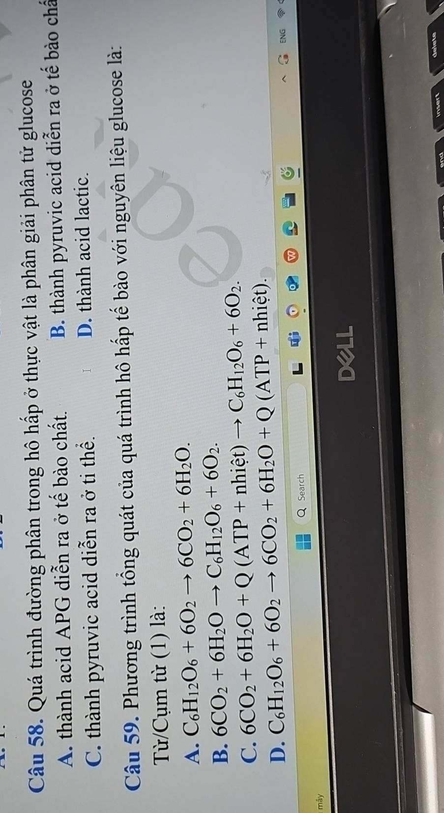 Quá trình đường phân trong hô hấp ở thực vật là phân giải phân tử glucose
A. thành acid APG diễn ra ở tế bào chất. B. thành pyruvic acid diễn ra ở tế bào chấ
C. thành pyruvic acid diễn ra ở tỉ thể. D. thành acid lactic.
T
Câu 59. Phương trình tổng quát của quá trình hô hấp tế bào với nguyên liệu glucose là:
Từ/Cụm từ (1) là:
A. C_6H_12O_6+6O_2to 6CO_2+6H_2O.
B. 6CO_2+6H_2Oto C_6H_12O_6+6O_2.
C. 6CO_2+6H_2O+Q(ATP+nhiet)to C_6H_12O_6+6O_2.
D. C_6H_12O_6+6O_2to 6CO_2+6H_2O+Q(ATP+nhiet). 
ENG
Search
máy
insert delete