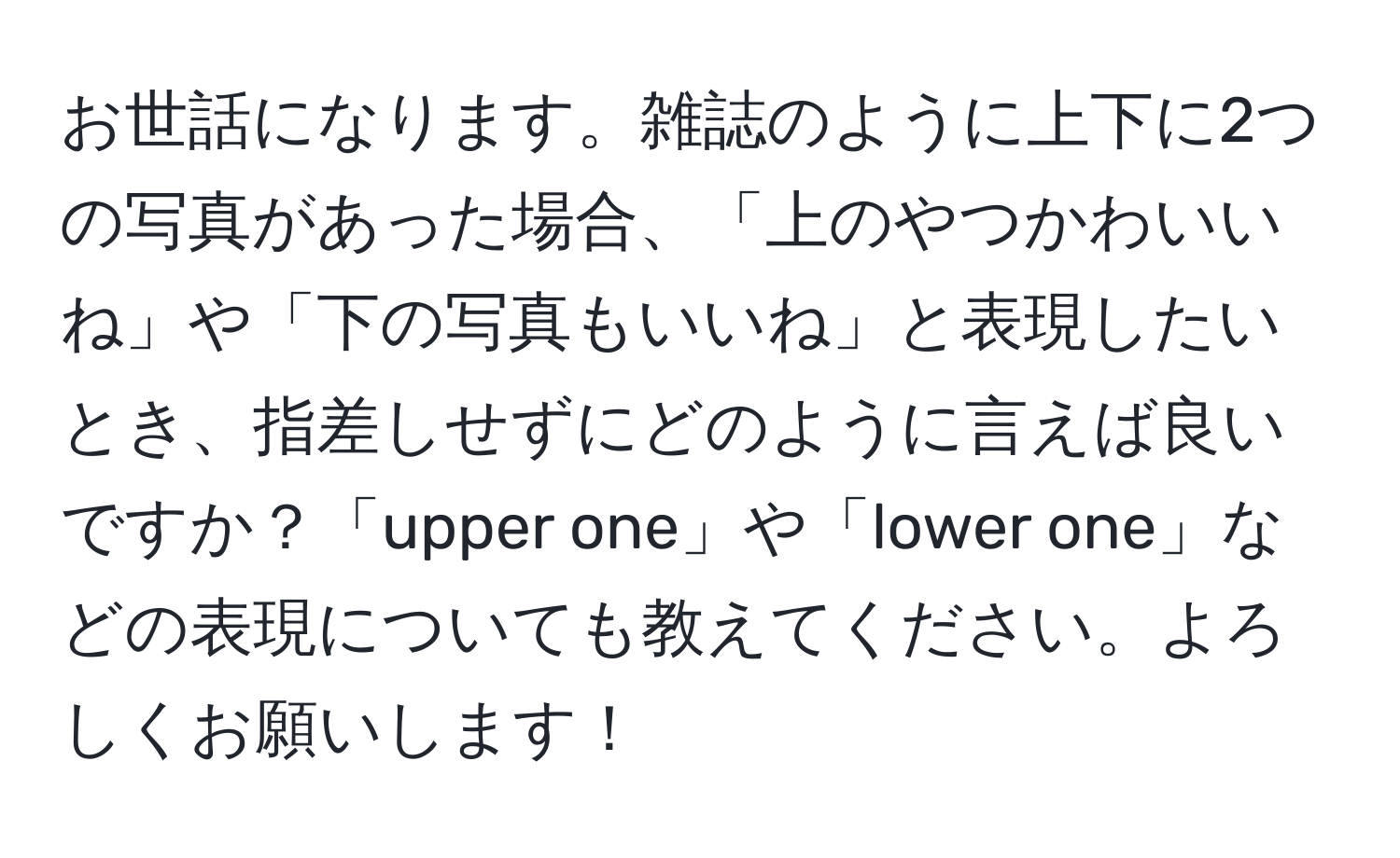 お世話になります。雑誌のように上下に2つの写真があった場合、「上のやつかわいいね」や「下の写真もいいね」と表現したいとき、指差しせずにどのように言えば良いですか？「upper one」や「lower one」などの表現についても教えてください。よろしくお願いします！