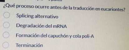 ¿Qué proceso ocurre antes de la traducción en eucariontes?
Splicing alternativo
Degradación del mRNA
Formación del capuchón y cola poli-A
Terminación